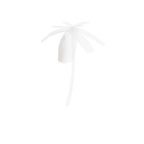 palm_tree_1 Variant